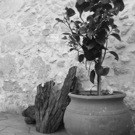 Picturesque Traditional Stone House Сasa de vacaciones *